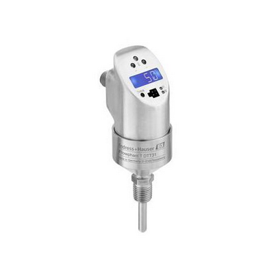 Endress+Hauser DTT31-A1A111AE2AAB