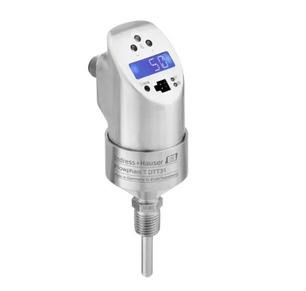 Endress+Hauser DTT31-A1C111AE2CAA
