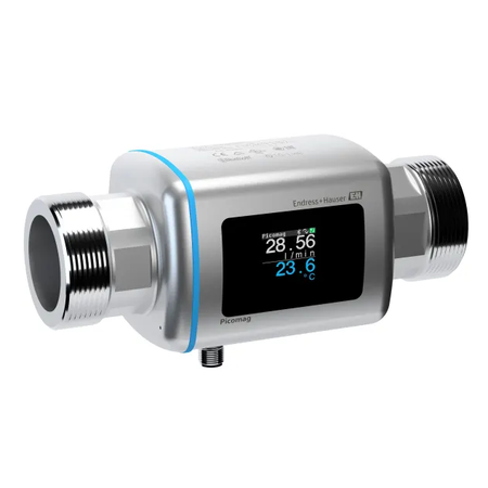 Endress+Hauser Picomag DMA20