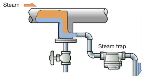 Steam Trap System Steam Trap System